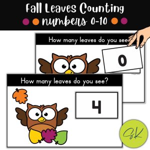 Owl Counting Leaves